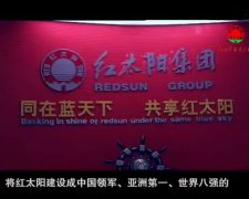 南京红太阳集团宣传片制作