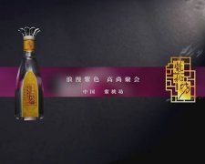 紫桃坊酒广告片